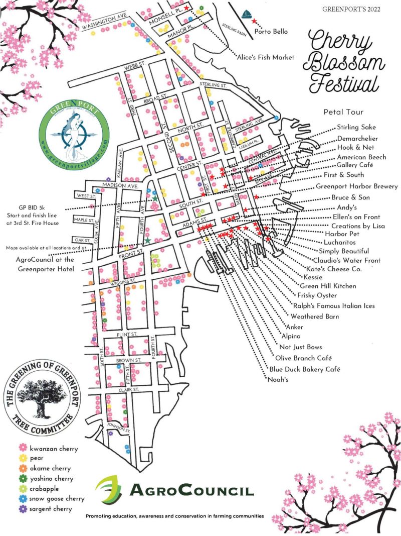 2023 Cherry Blossom Festival Greenport Village